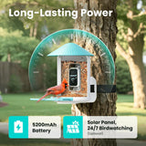 Birdfy AI Smart Bird Feeder with 1080p Camera, Solar Panel & Bird Recognition