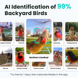 Birdfy AI Smart Bird Feeder with 1080p Camera, Solar Panel & Bird Recognition