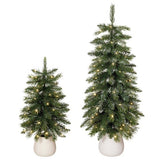 CG Hunter 2' & 3' Glitter Potted Trees with 125 Twinkle Lights, Set of 2