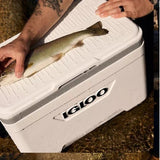 Igloo Marine Ultra 25-Qt Cooler, 36-Can Ice Chest Box for Camping Fishing Party