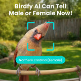 Birdfy Smart Metal Bird Feeder with 1080p AI Camera, Built-In Solar Panel & 9000 mAh Battery