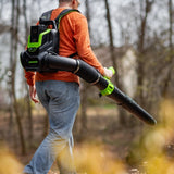Greenworks 80V Backpack Leaf Blower, 800 CFM, 195 MPH, with Leaf Tarp