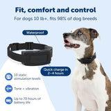 PetSafe Guardian GPS 2.0 Wireless Dog Fence and Real-Time Tracker with 2-Year Subscription