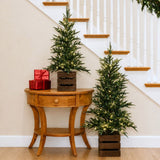 CG Hunter 4' and 3' Pre-Lit Pine Trees with 190 Total Warm White LED Lights