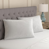 Sealy Sterling Huggable Pillow Standard 2-Pack – Soft Micro Plush Bed Pillows
