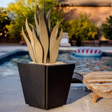 Desert Steel Snake Agave All-in-One Metal Plant Set with Planter & Pearl Rock
