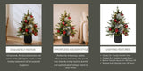 CGH 36-Inch Pre-Lit Mixed Pine Decorated Artificial Christmas Tree with 70 Light