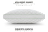 Martha Stewart Garden Trellis Quilted Pillow, 2-Pack Cotton-Tencel Cover Medium