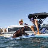 ISLE Dog Catcher Large Inflatable Dog Ramp for Pool, Boat, Dock, Kayak, and Paddle Board