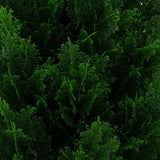 Nearly Natural 2-Pack 4' Faux Cedar Trees, UV Resistant Guest-Greeting Pine Tree