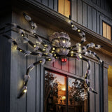 Member's Mark 6' Pre-Lit Oversized Halloween Spider with 70 Twinkling LED Lights