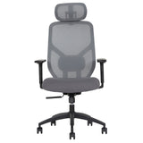TrueWellness Zentro Ergonomic High-Back Mesh Office Chair with 4-Way Lumbar Support
