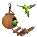 Natural Coconut Shell Hanging Bird House with Ladder – Eco-Friendly Nest for Finches, Sparrows & Parakeets