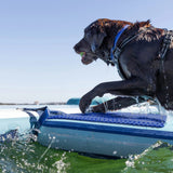 ISLE Dog Catcher Large Inflatable Dog Ramp for Pool, Boat, Dock, Kayak, and Paddle Board