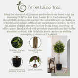CGH 6' Faux Laurel Tree with Planter – Realistic Look, Hassle-Free Maintenance