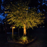 VOLT Brass Bully Open MR16 In-Ground Well Light – Low Voltage LED Landscape Well Light